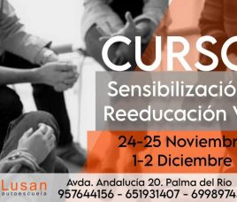 Curso Sensibilización y Reeducación Vial (Recuperación Total)