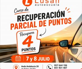 ¿Te quedan pocos puntos en el carné?
