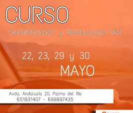 Curso de Sensibilización y Reeducación Vial